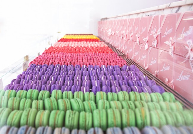 Macarons | ©Erica Gibson