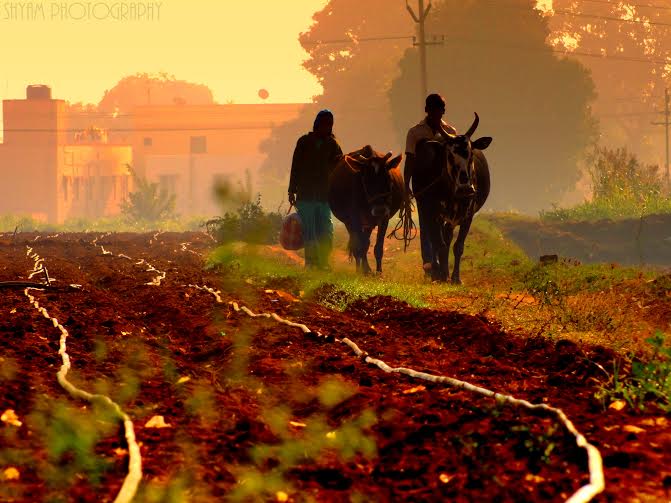 A quiet Morning at Hosur| ©Shyam Sampath