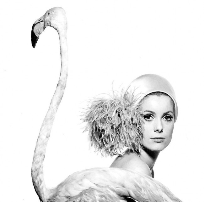 Catherine Deneuve photographed by David Bailey for Vogue, 1968 | Courtesy of The Coincidental Dandy/Flickr