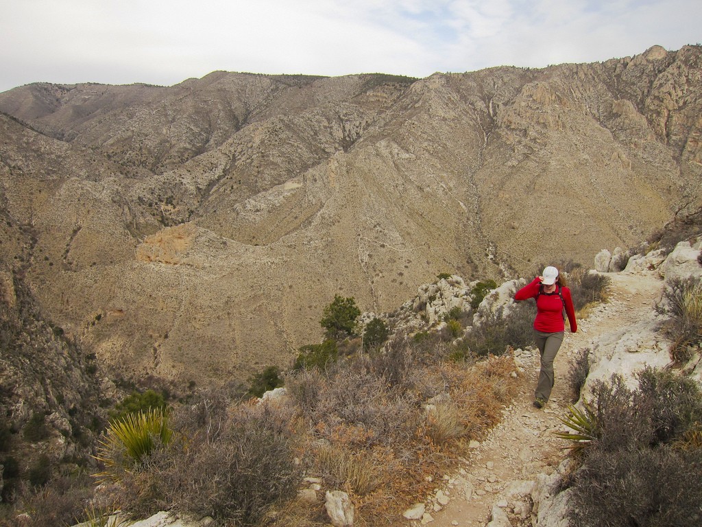 Parque Nacional de las Montañas de Guadalupe | © Miguel Vieira / Flickr