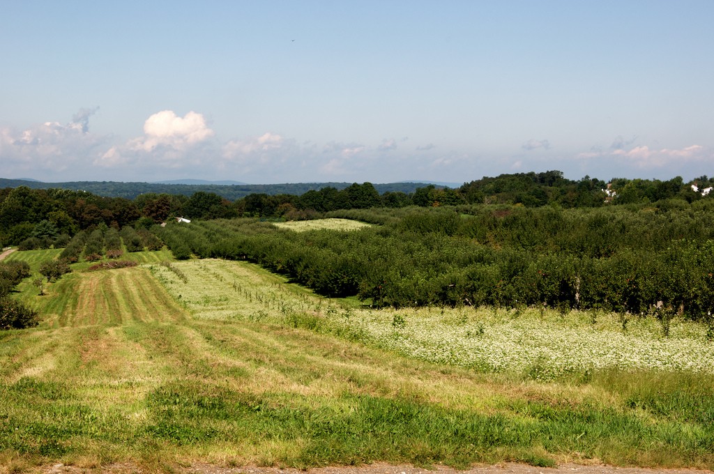 Exploring Kinderhook, New York Rich History In The Hudson River Valley