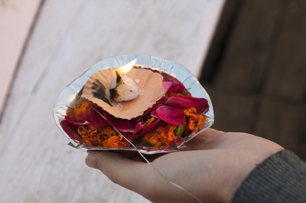 The Shaivite tradition speaks of using bhang as an offering to Shiva © Milo & Silvia in the world / Flickr