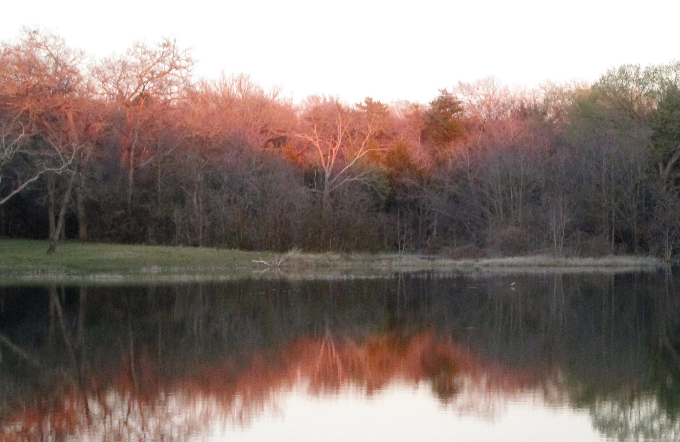 Pond View Lorch Park