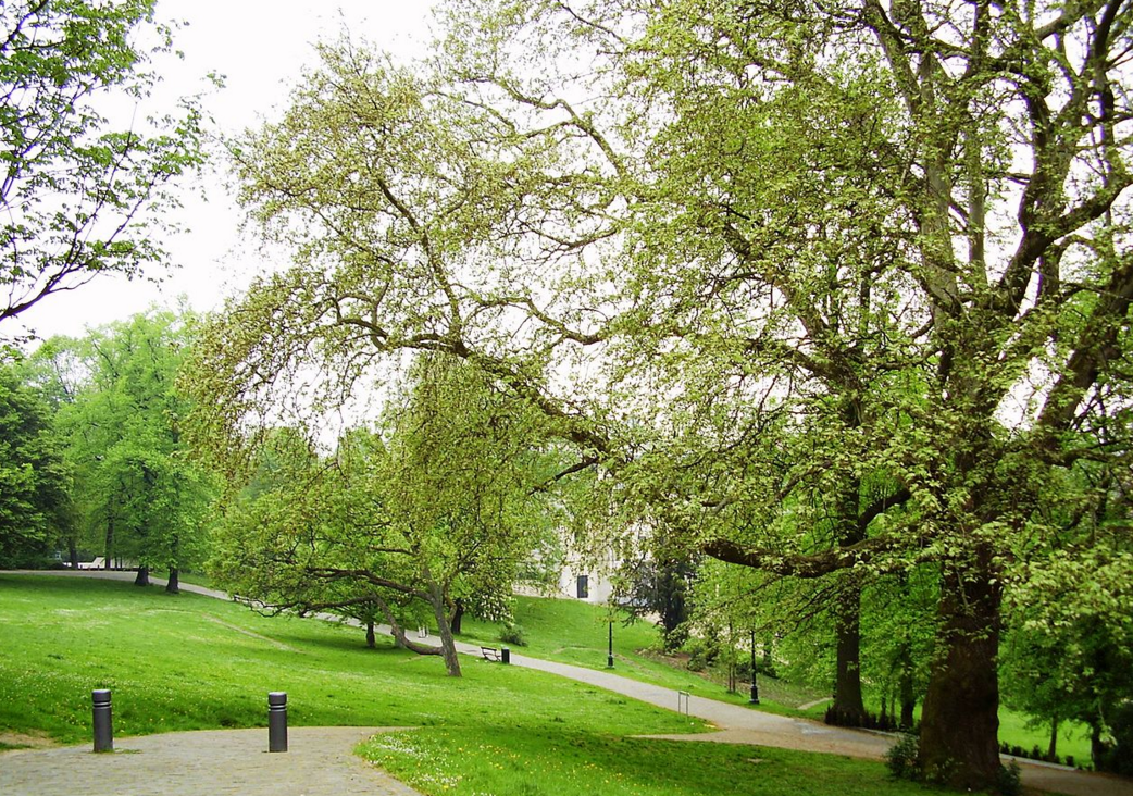 image activité
