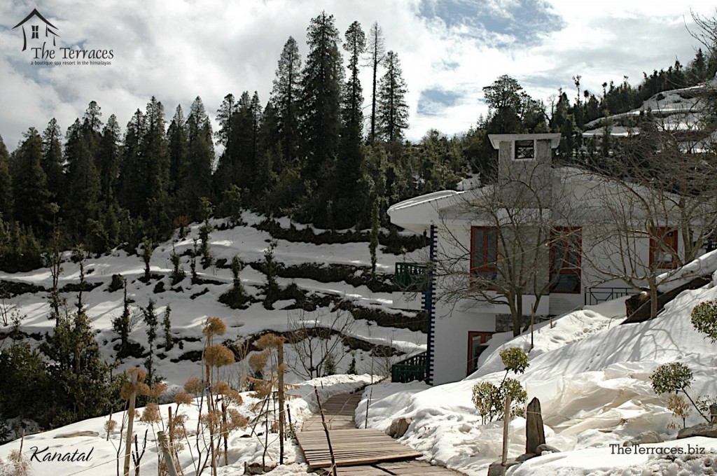 Courtesy The Terraces, Kanatal