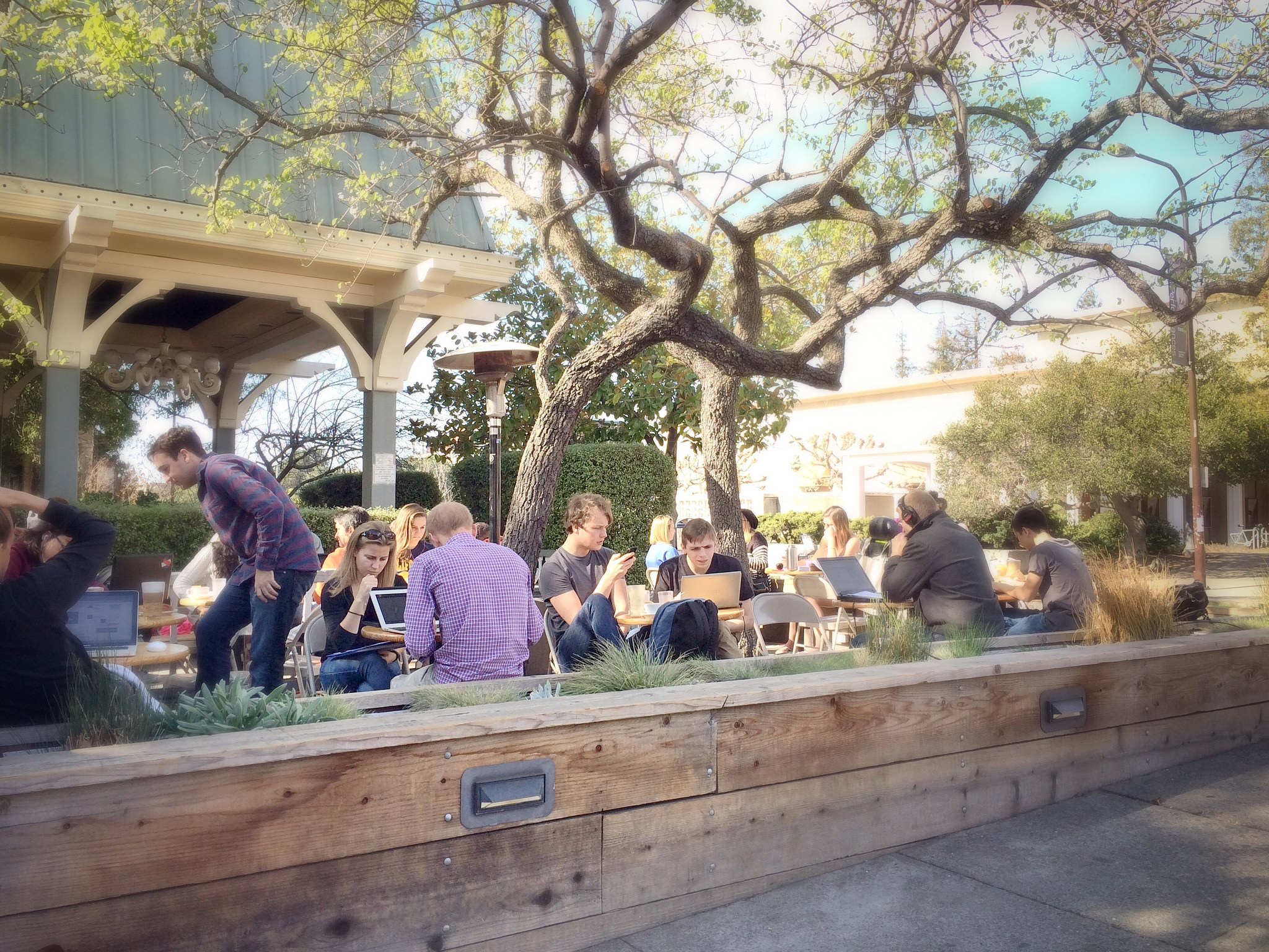 The Best Cafes In Berkeley, California