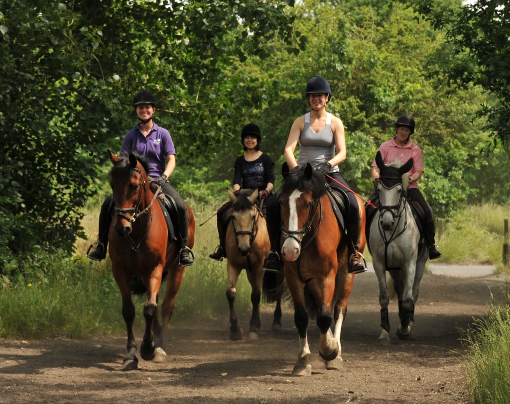 Hack through the countryside | Courtesy of Wimbledon Village Stables