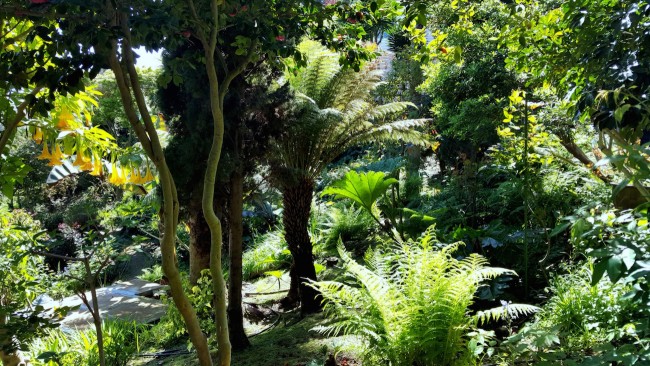 Grace Marchant Gardens