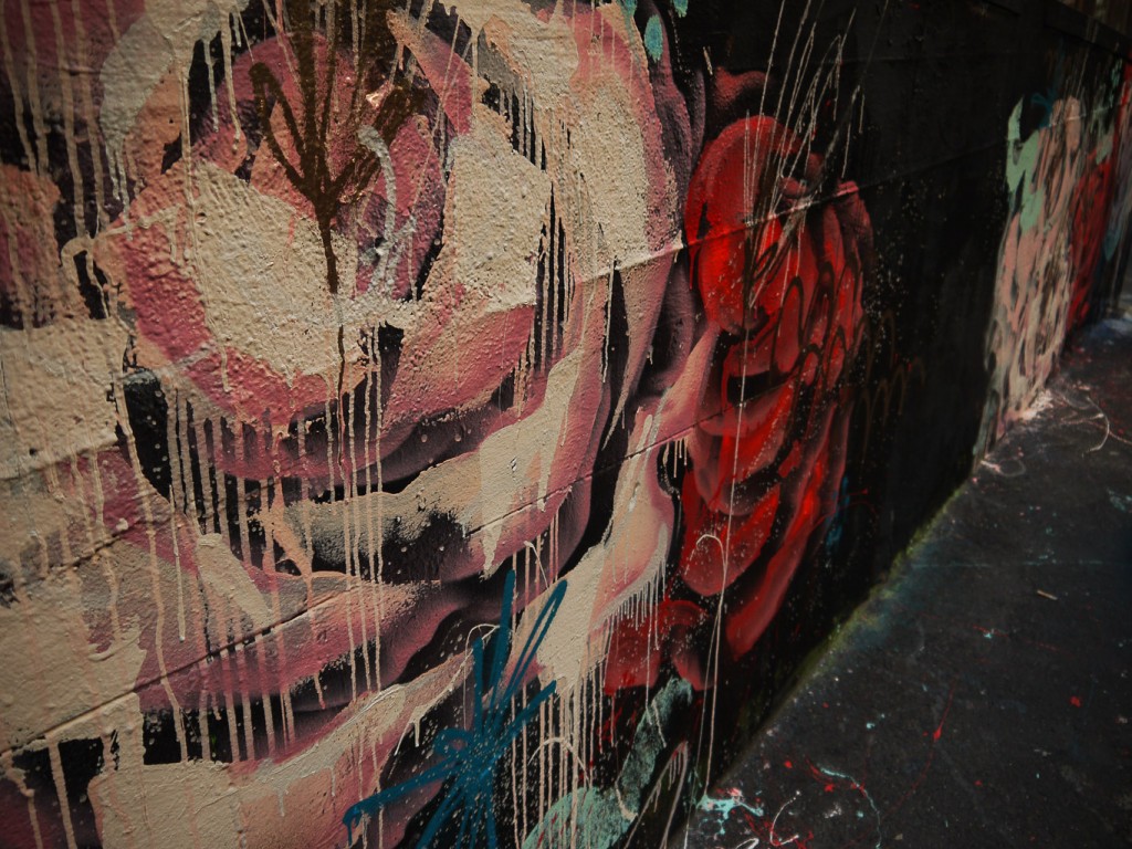 Melting Roses l © Ash Seagrave