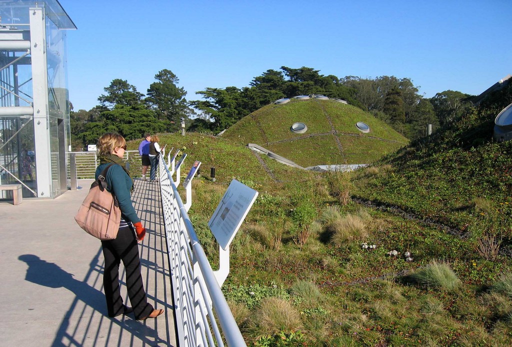California Academy of Sciences © Marianne Muegenburg Cothern/Flickr