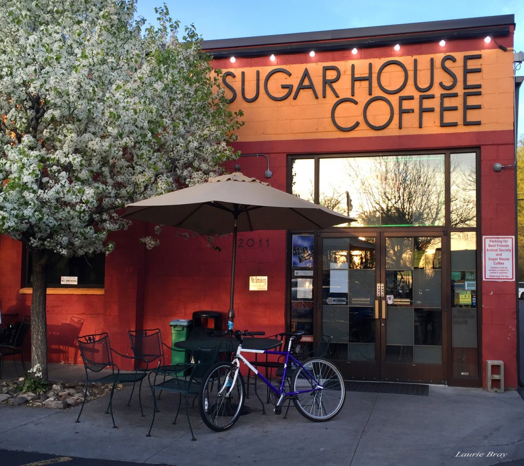 The Top 10 Coffee Shops In Salt Lake City, Utah