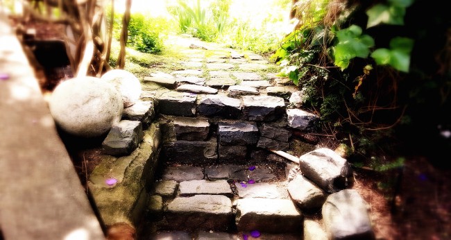 Up the garden path