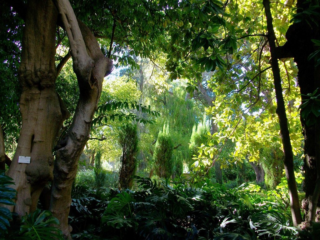The Most Beautiful Parks And Gardens In Valencia