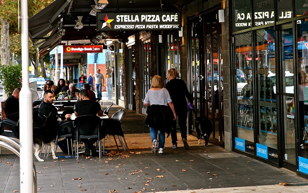 Stella | © Stephen Barrett