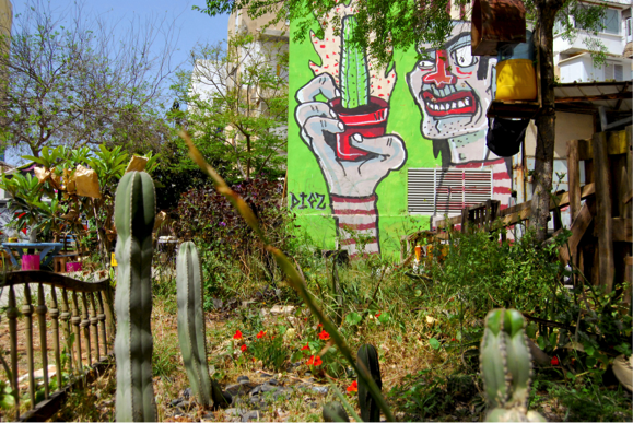 Volunteering garden in South Tel Aviv, Courtesy of Jesi Soifer