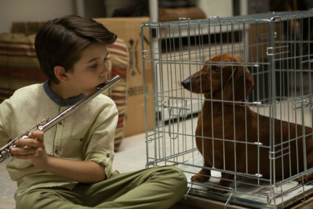 Greasy Strangler Big Ronnie S Dog Is Greasy Strangler Big Ronnie S Dog Is