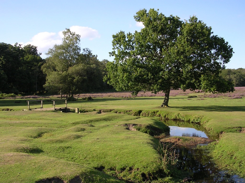 The Beaulieu River In The New Forest National Park | © Jim Champion/WikiCommons