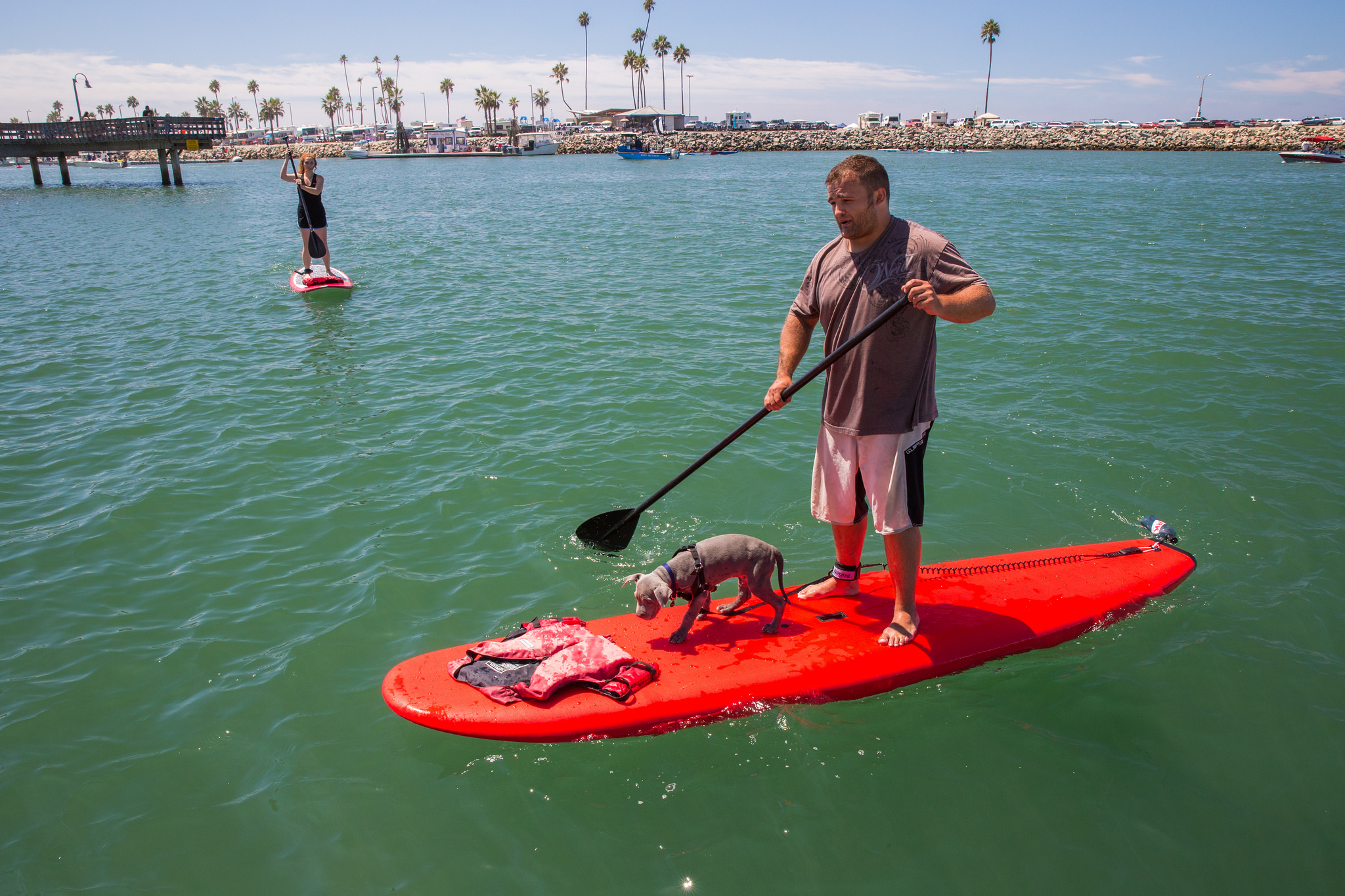 San Francisco Stand up Paddle Boarding