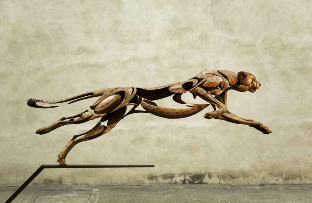 Cheetah | © Chiqui Diaz
