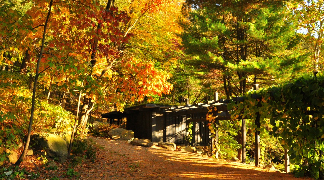 Dragon Rock Pergola and Russel Wright's Studio at Manitoga Photo Vivian Linares