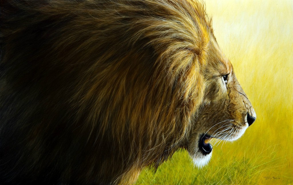 Enforce Lion Marsh Pride, Maasai Mara | © Jeremy Paul