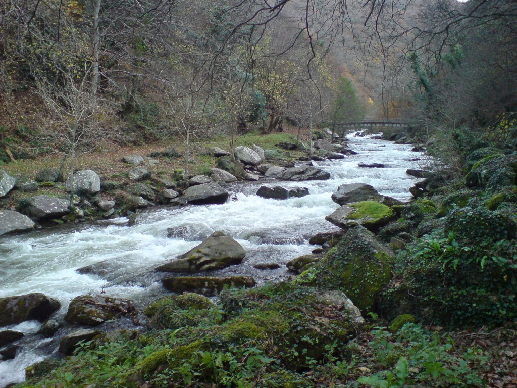 The East Lyn River In Exmoor National Park | © Jamsta/WikiCommons