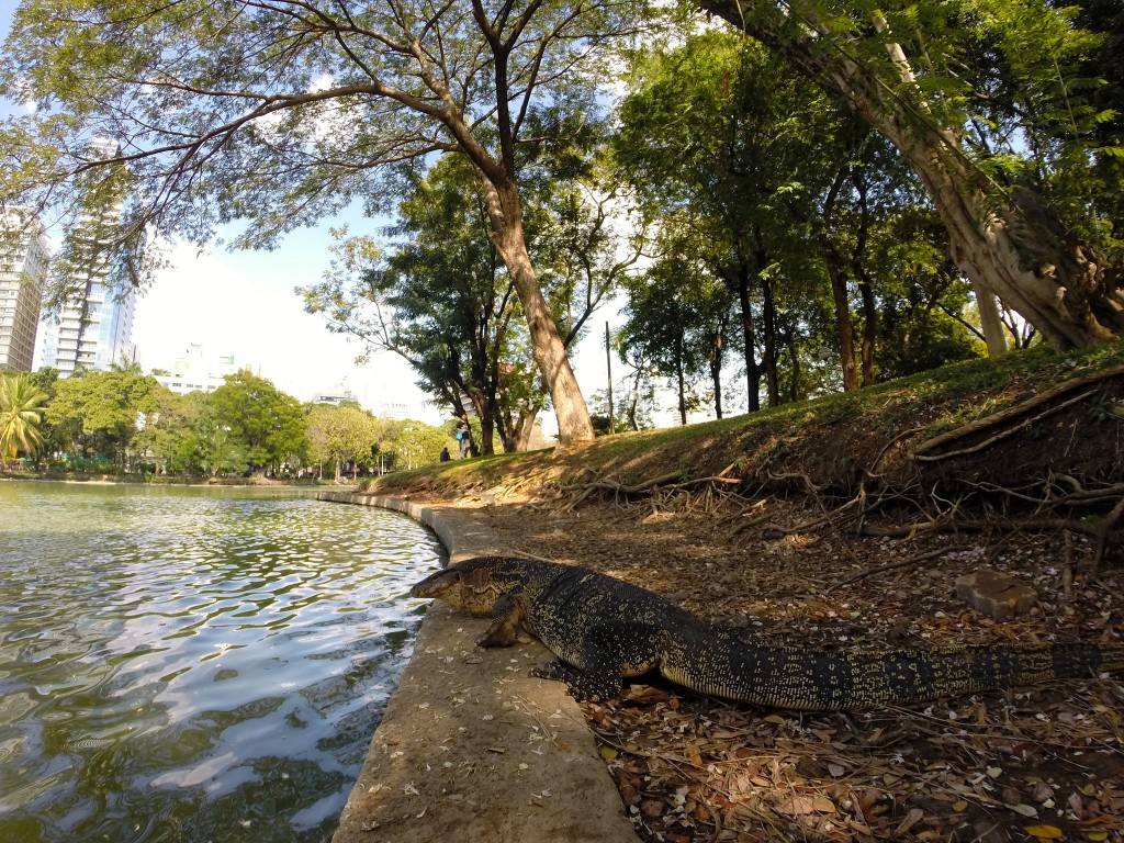 Lumpini Park/Courtesy of Kelly Iverson