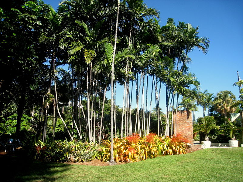 The 5 Most Beautiful Gardens In Miami Let Serenity Envelop You At The Miami Beach Botanical Gardens Wikipedia Commons