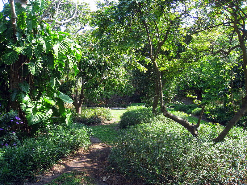 The 5 Most Beautiful Gardens In Miami The Kampong Garden Coconut Grove Wikipedia Commons