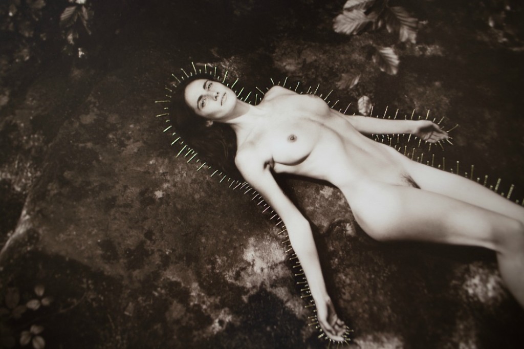 Aura | © Anouska Beckwith