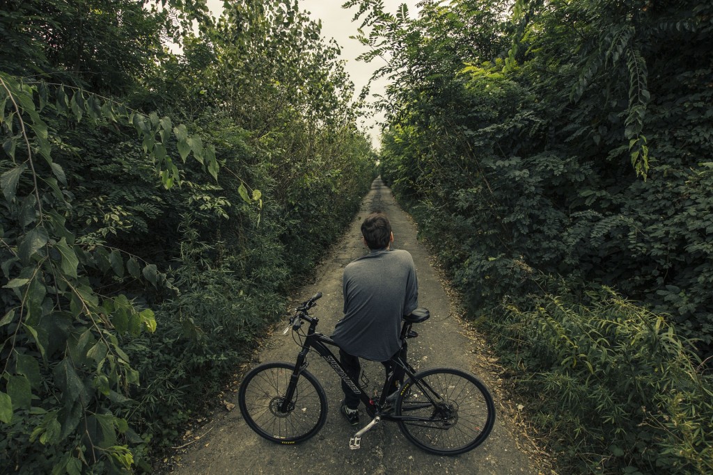 Bicycle path/Pixabay