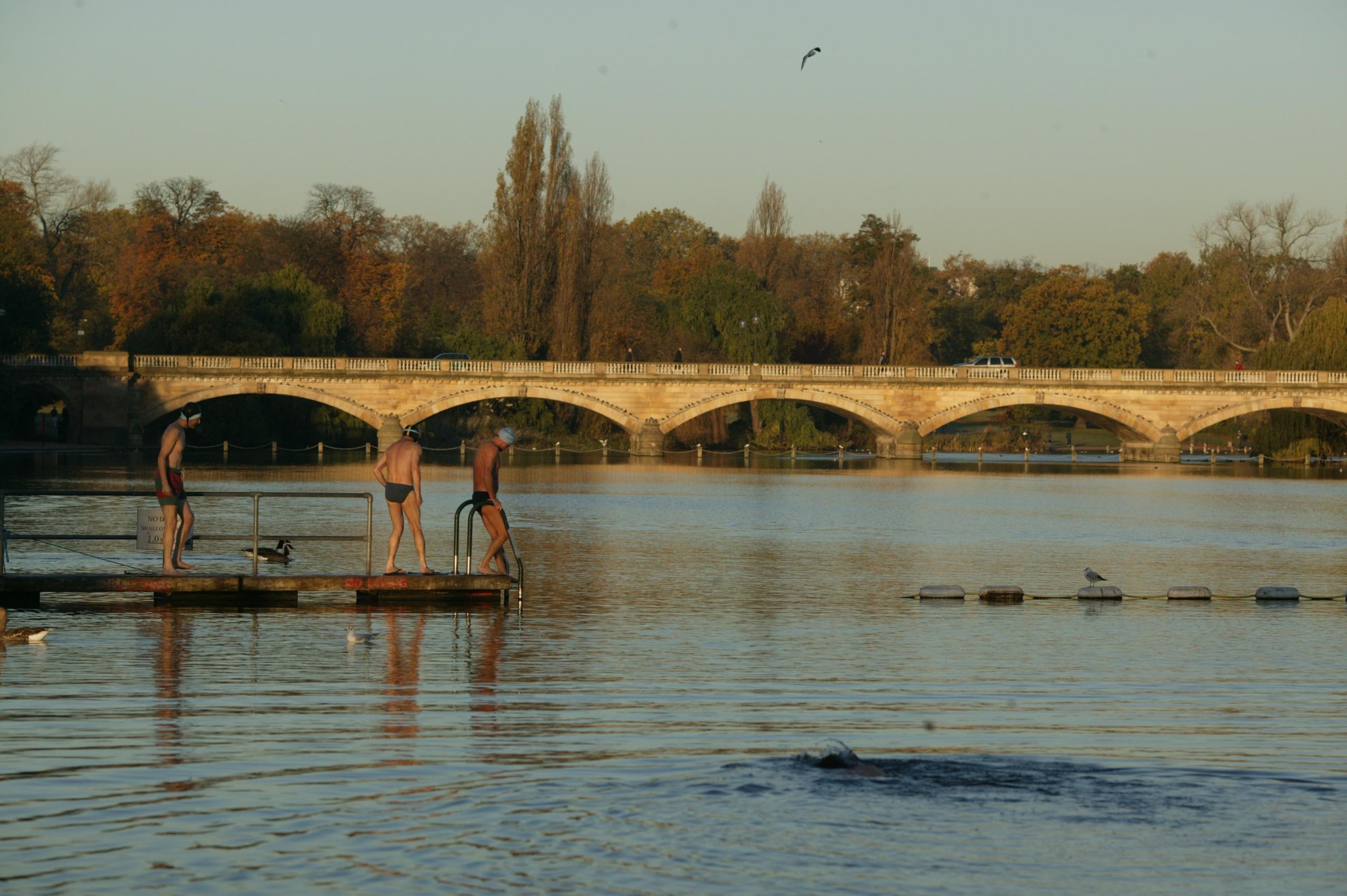 Serpentine Lido, Hyde Park| ©Ed Parker/Royal Parks Serpentine Lido, Hyde Park | ©Ed Parker/Royal Parks