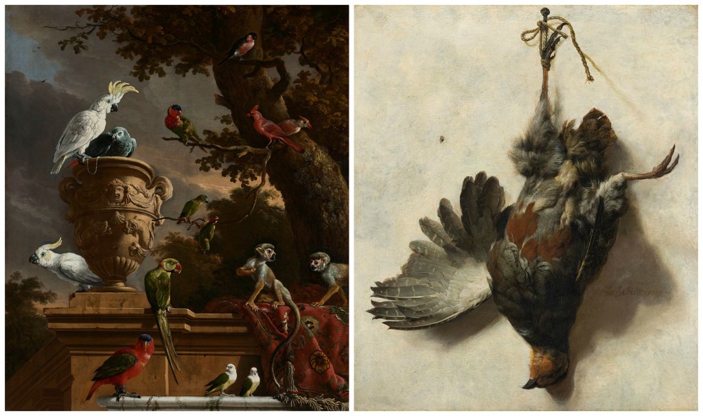 Melchior d'Hondecoeter :De menagerie | © Rijksmuseum / Wikicommons / Jan Baptist Weenix: Dead Partridge | © Mauritshuis / Wikicommons