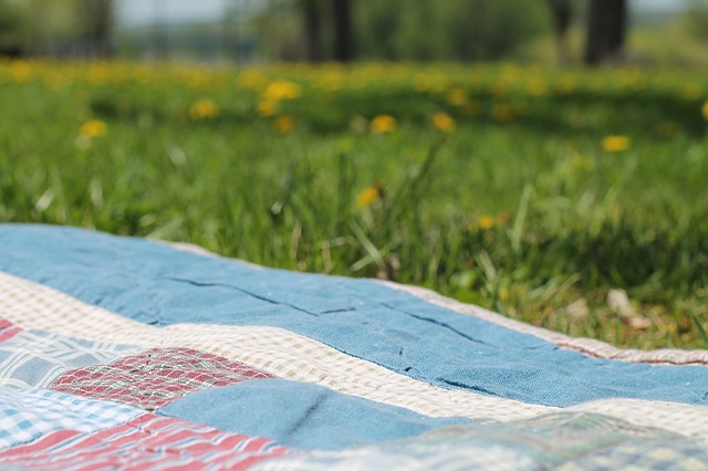 The Best Picnic Spots In Berlin