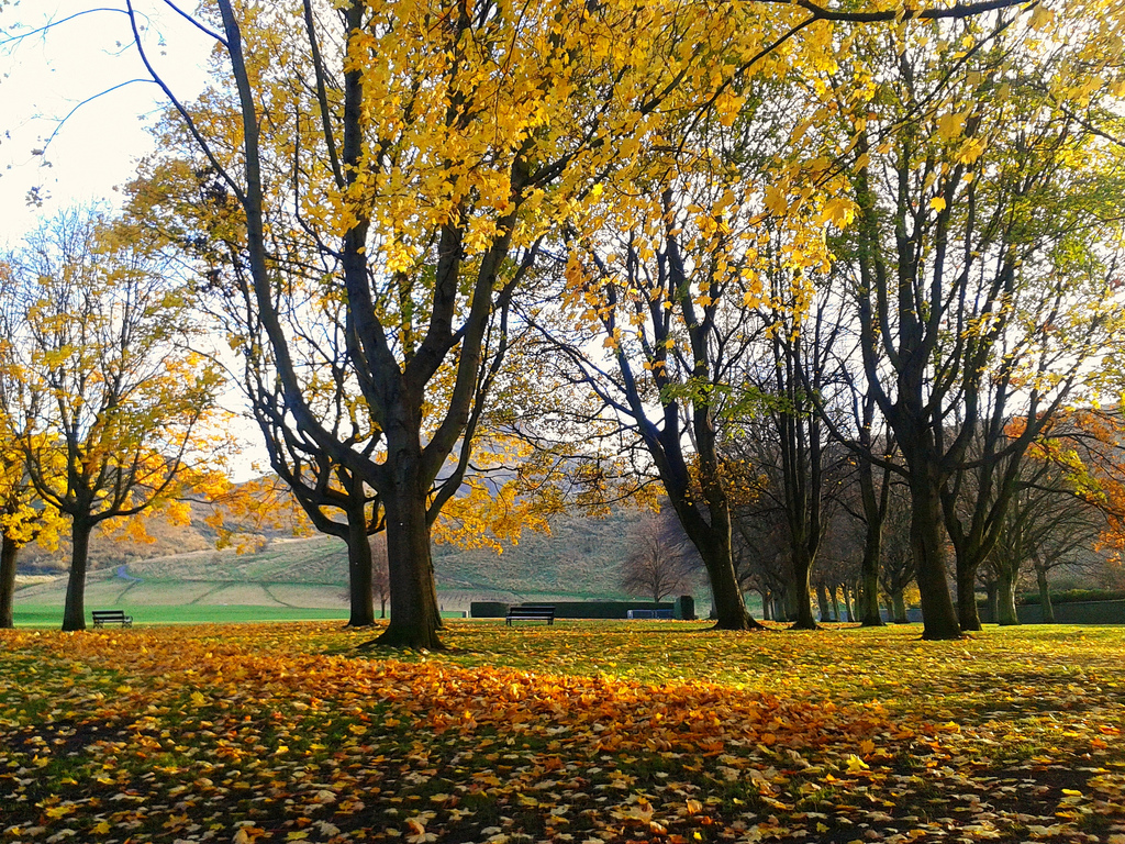 Holyrood Park | © Karen Bryan/Flickr
