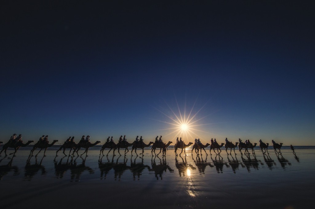 Camels at sunset, Cable Beach | Courtesy of Tourism WA