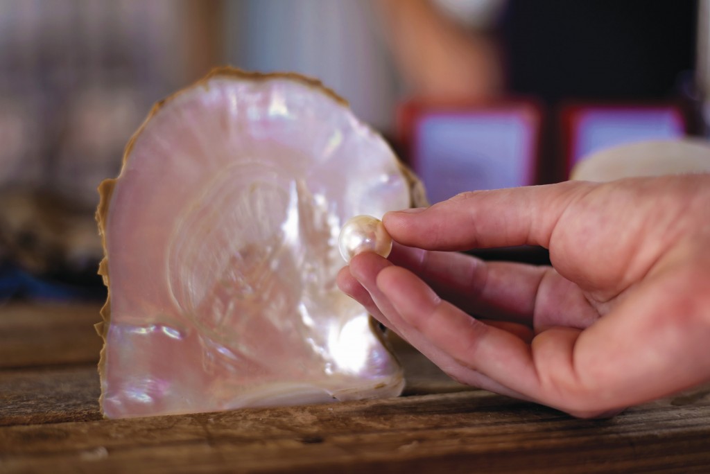 Broome pearl and shell | © Garry Norris Photography