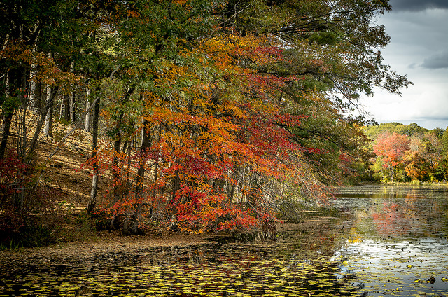 Hiking in the Blue Hills |©Bob P. B.