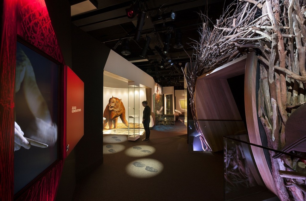 4. 'Our Story' section of First Peoples exhibition at Bunjilaka Aboriginal Cultural Centre at Melbourne Museum_credit_Dianna Snape Phot