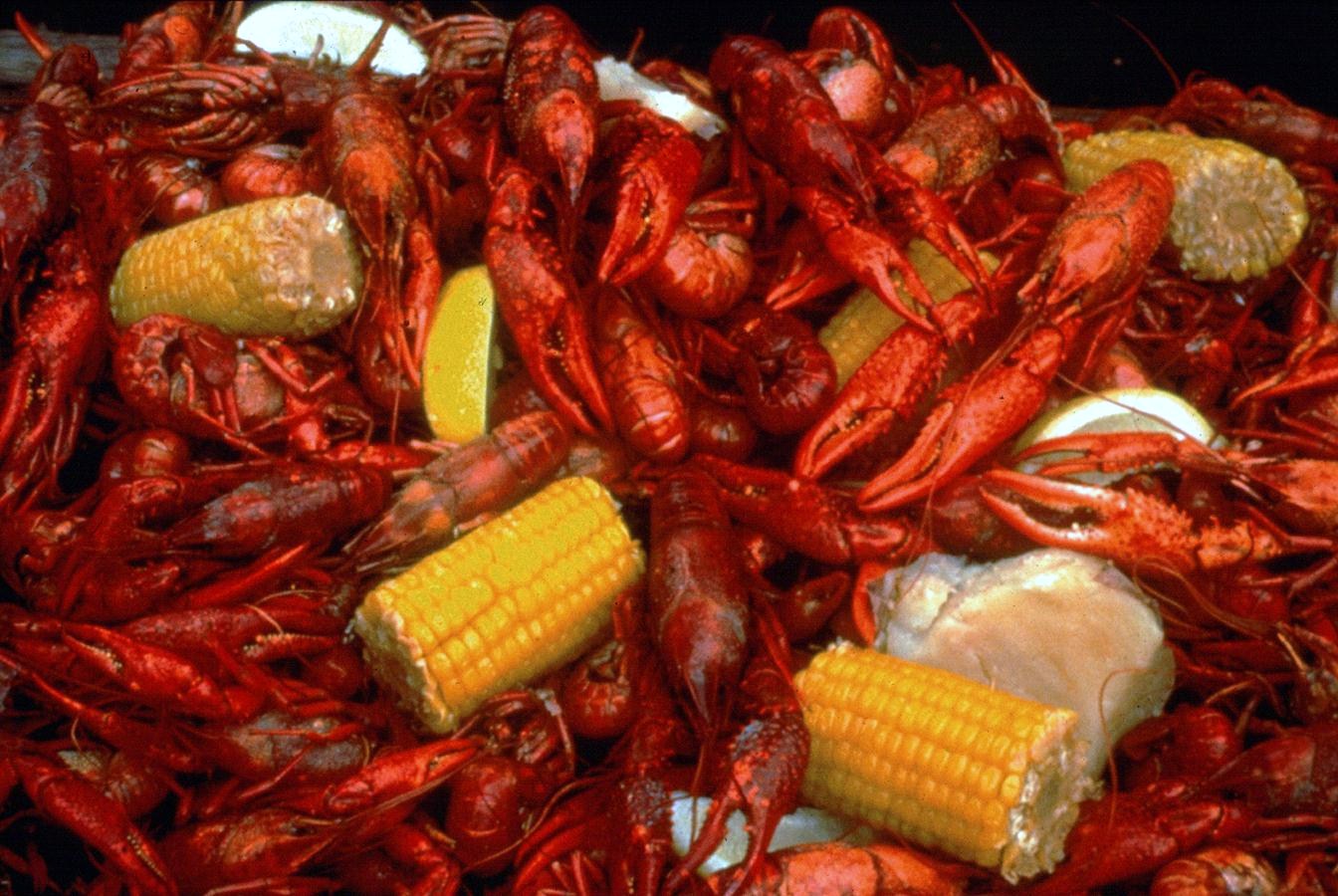 Best Cajun Food In Lafayette Best Cajun Food In Lafayette