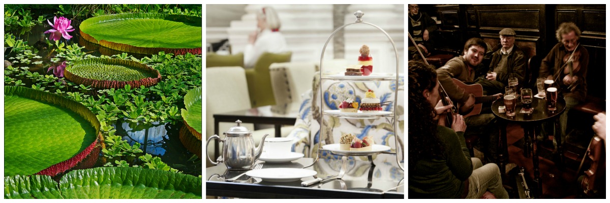 The Royal Botanic Gardens | © dun_deagh/Flickr // Palm Court at The Balmoral – Afternoon Tea | Courtesy Of Rocco Forte Hotels // Sandy Bell’s | © John Paul Endicott/Flickr