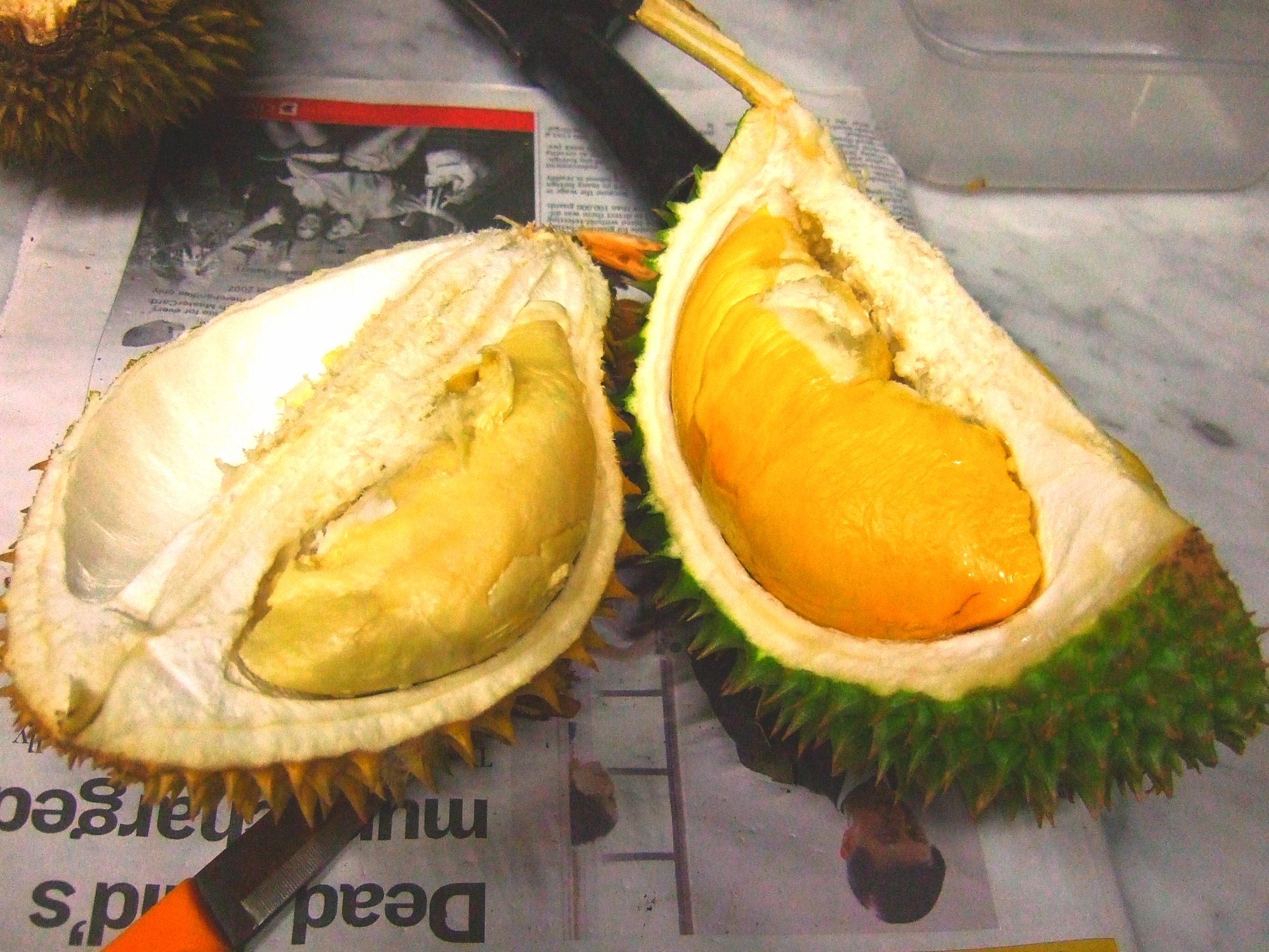 fruit bar durian fruit fruit bar durian fruit
