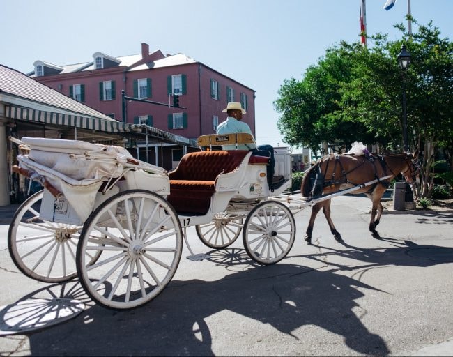 New Orleans French Sayings 15 New Orleans Words And Phrases You Should Learn Before Visiting The City