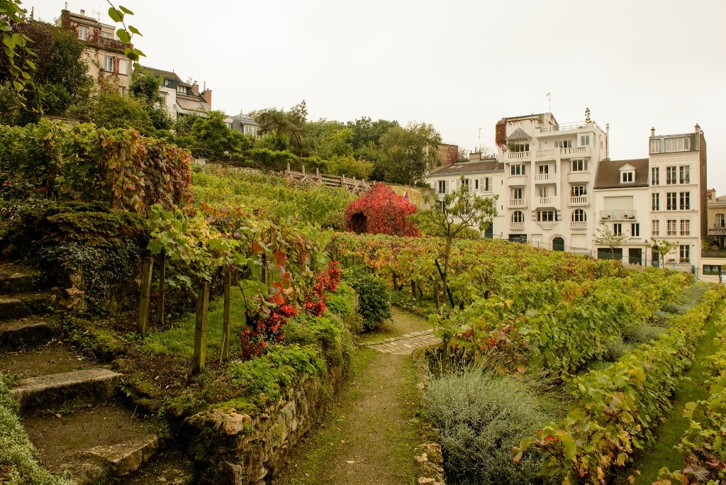 The Clos de Montmartre │© Son of Croucho