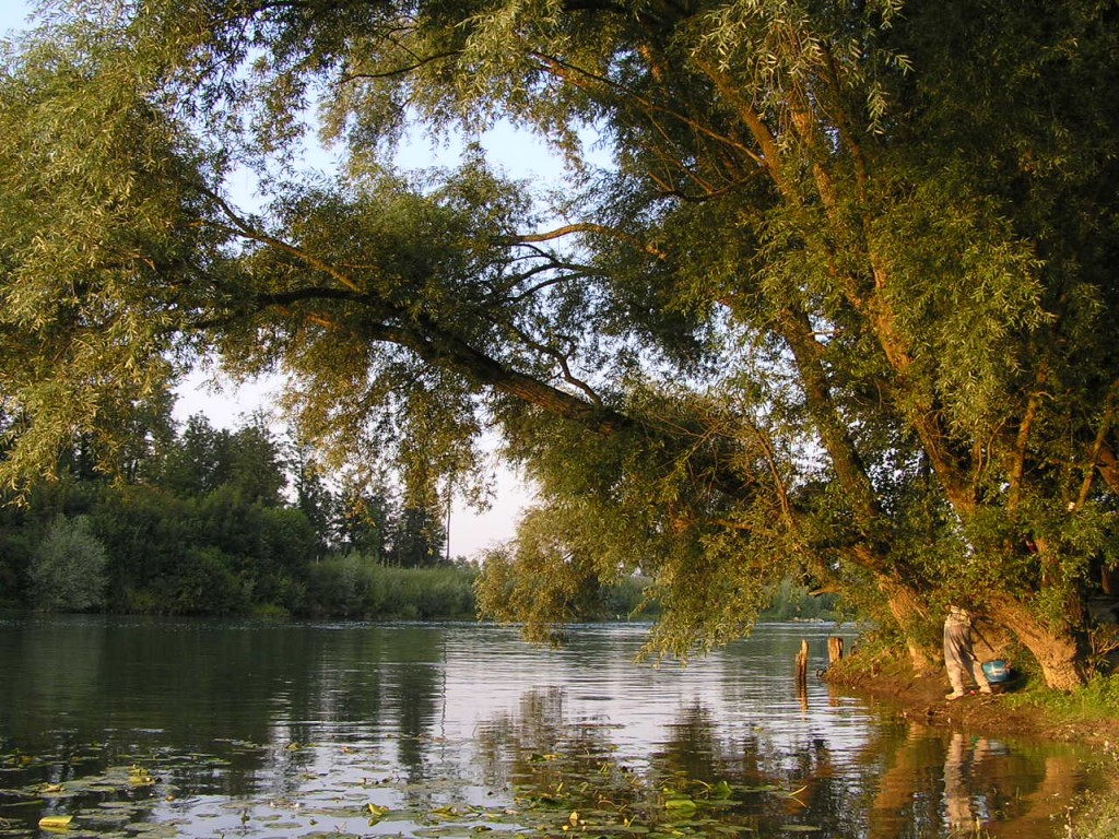 The river Marne │© Damien Boilley