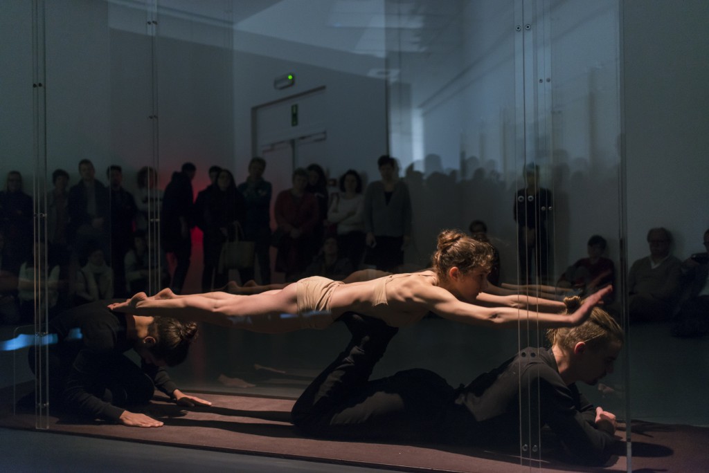 Still Animals by Tuur Marinus | © Bram Goots/courtesy of Nuit Blanche