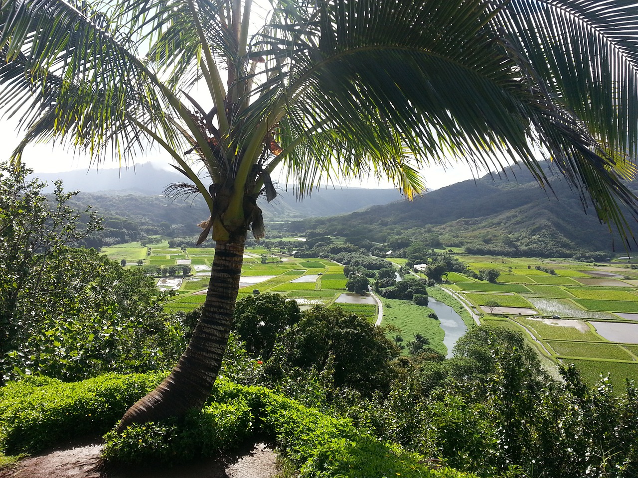 Hanalei, Kauai | Public Domain/Pixabay