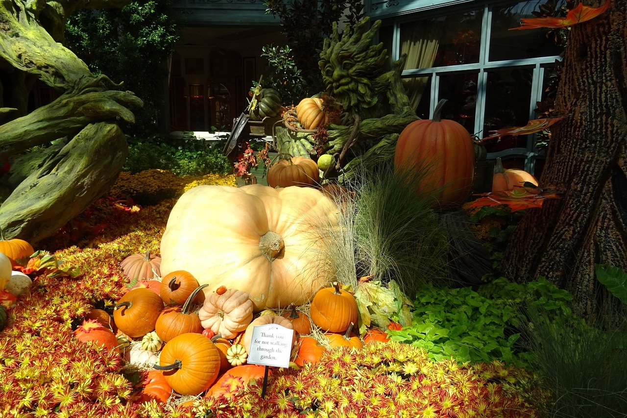 Pumpkin decorations, Las Vegas | Public Domain/Pixabay