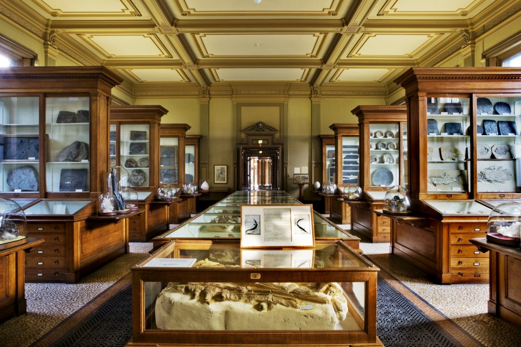 8 Things You Need To See And Do In Haarlem