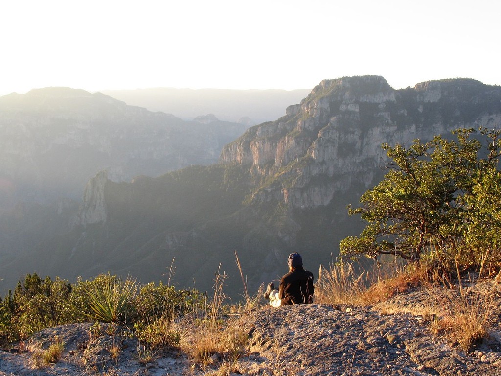 mexico 66 hiking green
